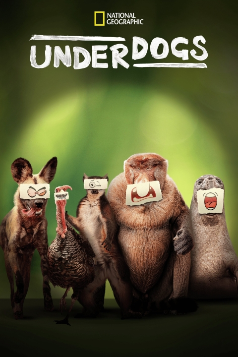 Underdogs Afişi