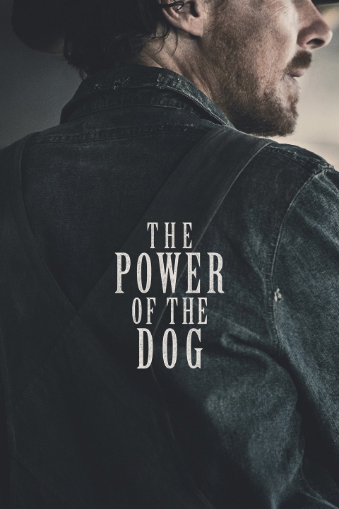 The Power of the Dog Afişi