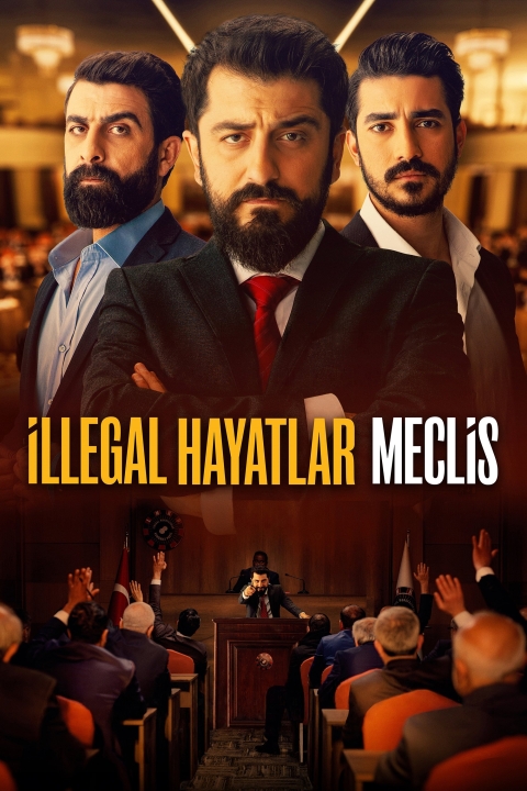 İllegal Hayatlar: Meclis Afişi