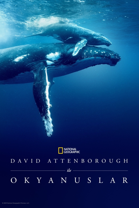 David Attenborough ile Okyanuslar Afişi
